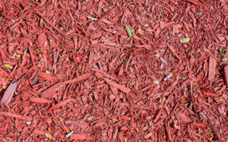 Where to Buy Bulk Mulch Near You: What to Look For