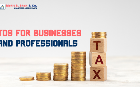 TDS for Businesses & Professionals | Mohit S. Shah & Co. Guide
