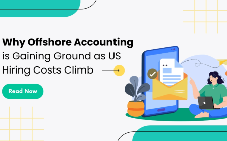 What Are Offshore Accounting Staffing Solutions and Why They Matter