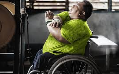 What is Obesity Treatment?