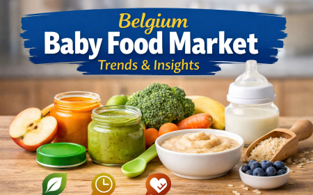 Belgium Baby Food Market: Evolving with Nutrition, Innovation, and Changing Consumer Expectations