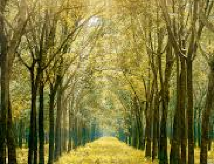 How Modern Kitchens Are Redefining Food Sustainability