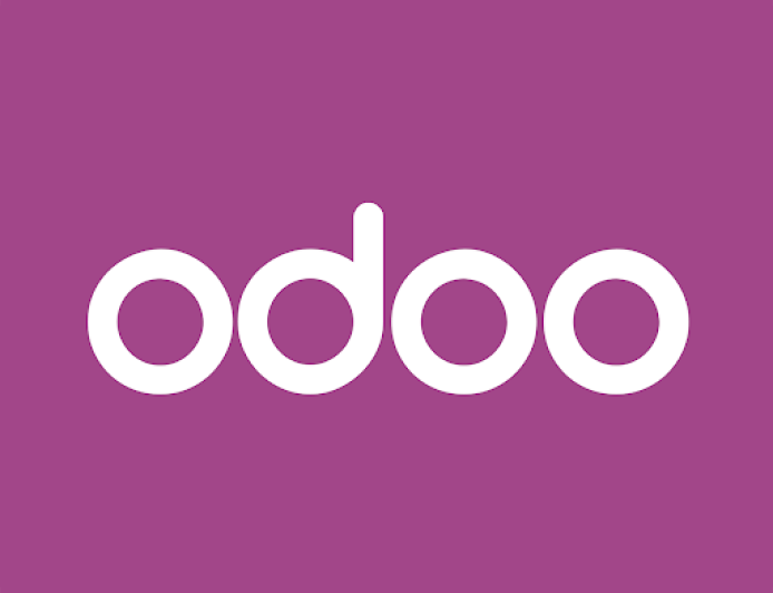 Jaipur's Odoo ERP Multi-Company Management