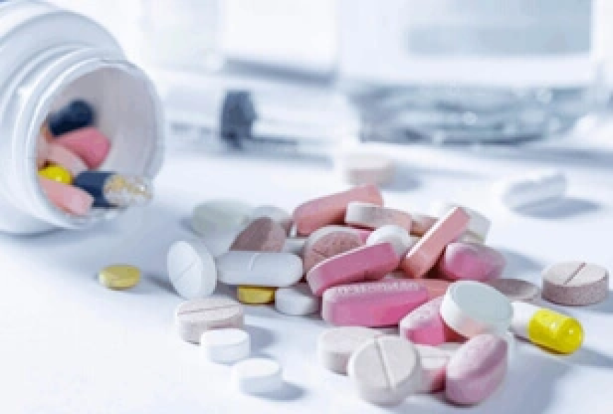 Pharma Wizard: Regulatory Compliance for Traditional Herbal Remedies