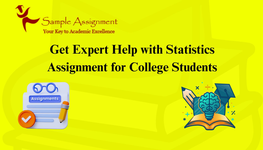 Get Expert Help with Statistics Assignment for College Students