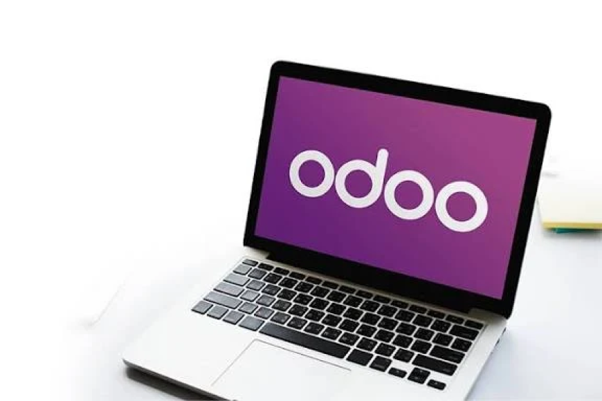 How to Choose the Best Odoo Partner in Jaipur for Your Business