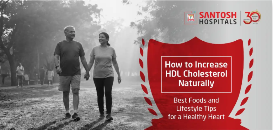 How to Increase HDL Cholesterol Naturally: Best Foods and Lifestyle Tips for a Healthy Heart