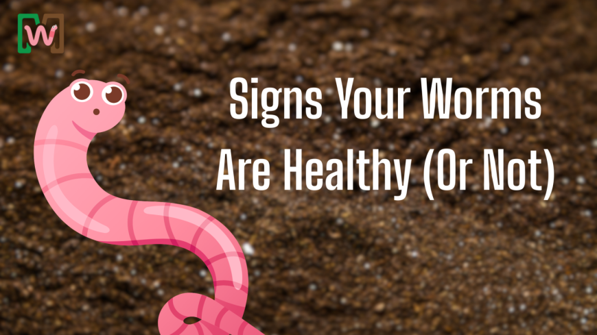 Signs Your Worms Are Healthy: A Complete Guide for Thriving Worm Bins