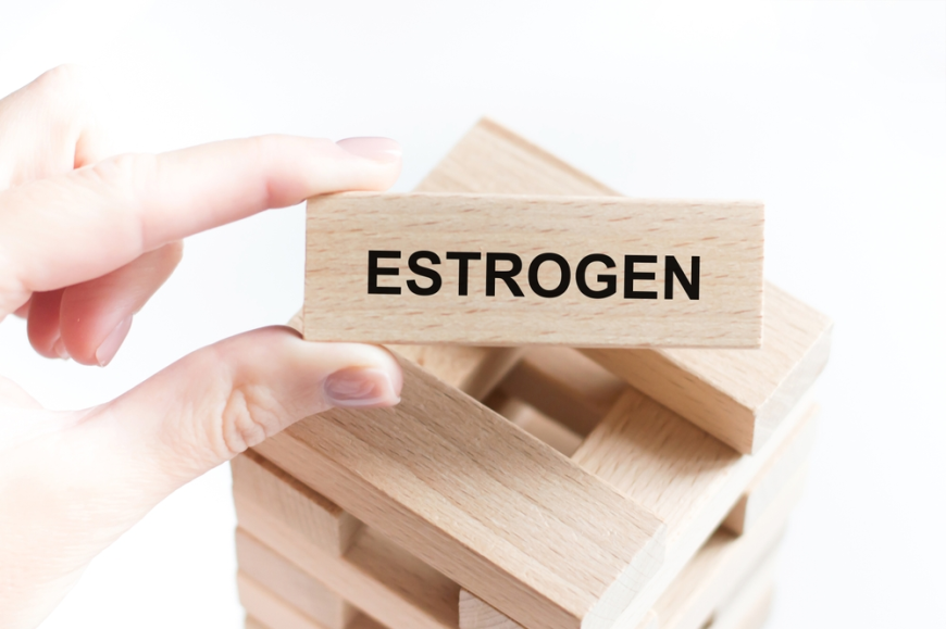 Hormones and the Uterus: How Endometrial Hyperplasia Develops