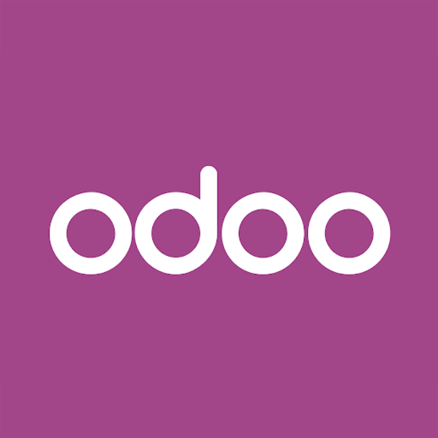 Best Odoo Partner in India: How to Choose the Right One
