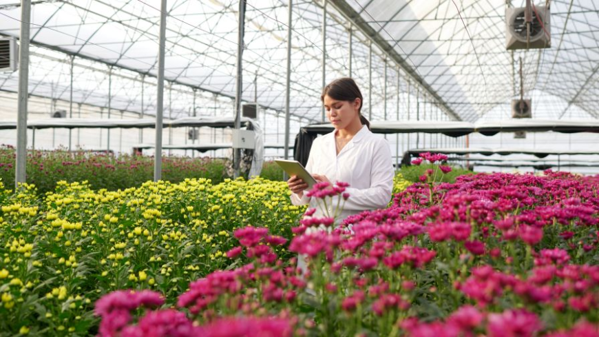 How Greenhouse Management Software Helps Growers Plan Production Around Actual Availability