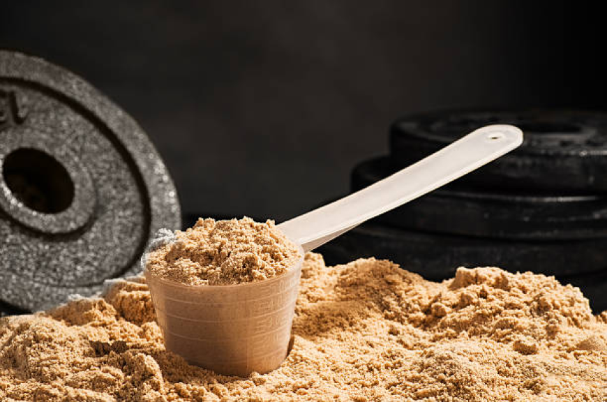Why the Whey Protein Market Is Growing Fast Trends Drivers and Future Outlook