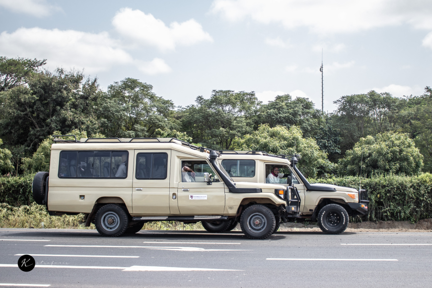 Best Safari Tours in East Africa: Top Destinations Ranked by Experience