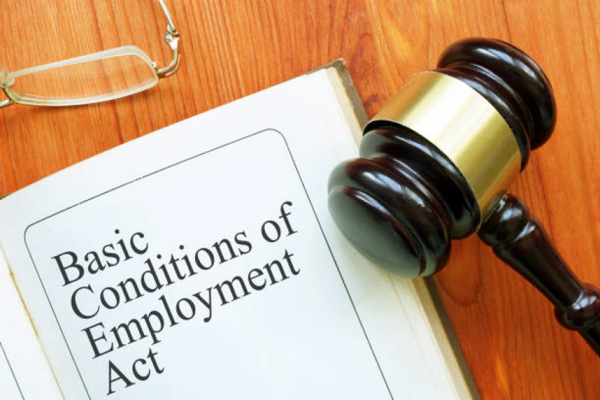 How to Create Employment Contracts for Domestic Workers That Are Legally Compliant