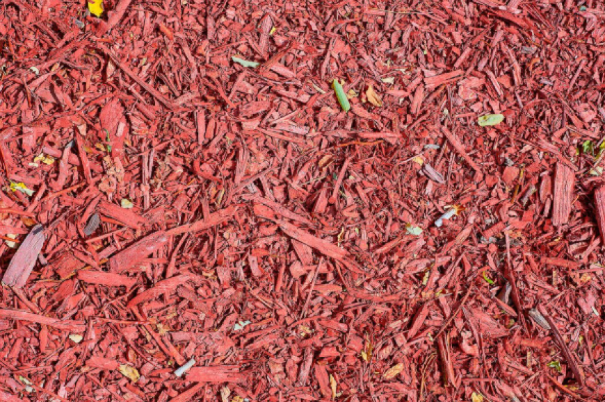 Where to Buy Bulk Mulch Near You: What to Look For