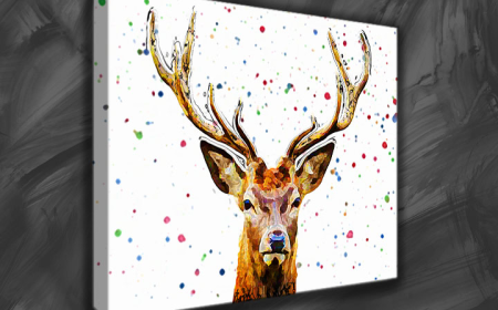 Canvas Prints UK: Transforming Your Favourite Photos into Timeless Wall Art