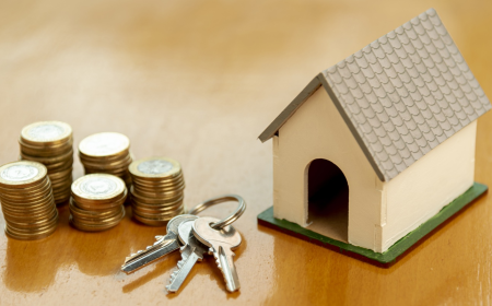 Pros and Cons of Home Loans with Low Deposit