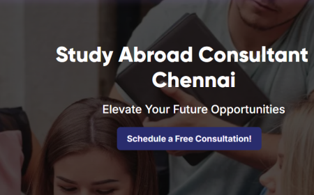 UK admission consultants