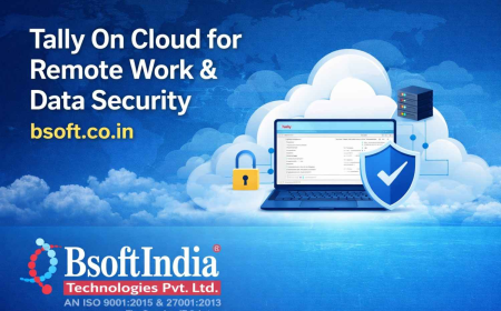 Tally On Cloud for Remote Work & Data Security | bsoft.co.in