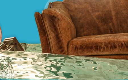 When Water Strikes: Gold Coast Removal Services You Can Rely On