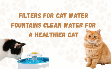 Filters for Cat Water Fountains Clean Water for a Healthier Cat