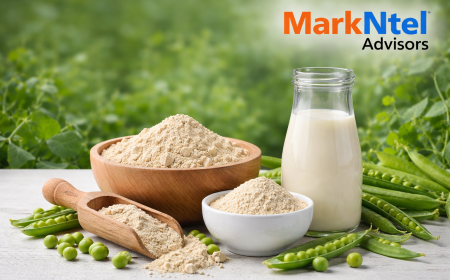 Global Pea Protein Market: Trends Shaping the Future of Plant-Based Nutrition