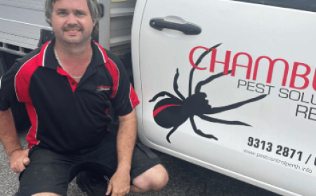 Protect Your Property with Termite Control Perth by Chambers Pest Solutions