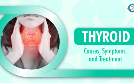 Thyroid: Causes, Symptoms, and Treatment