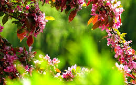 Mobile Technology in 2026: Transforming the Way We Live, Work, and Connect