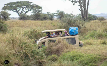 Experience Maasai Mara Safari in Kenya’s Refreshing Rainy Season