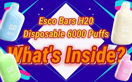 Grab an exclusive deal on H2O Esco Bars today! Experience smooth, water-based vapor with 6000 puffs and free shipping. Shop the cleanest flavors in the vaping world now.