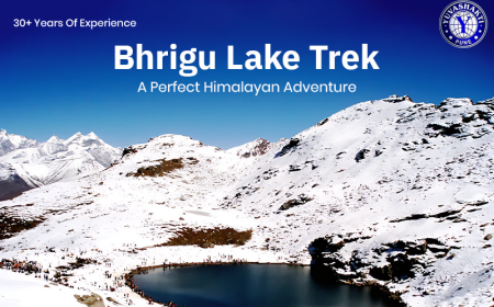 Bhrigu Lake Trek: A Perfect Himalayan Adventure for Beginners 