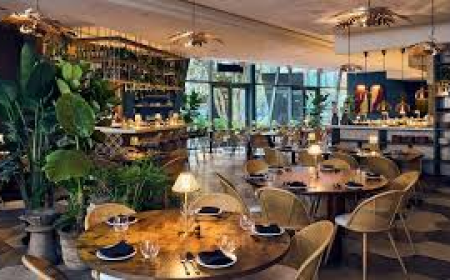 Upscale Dining Near Me: Best Luxury Restaurants in 2026