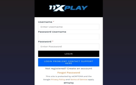 Elevate Your Online Betting Journey with 11xplayPro