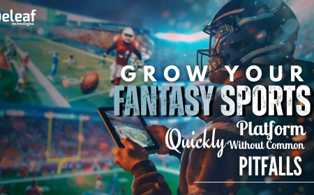 Grow Your Fantasy Sports Platform Quickly Without Common Pitfalls