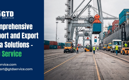 Comprehensive Import and Export Data Solutions – GTD Service