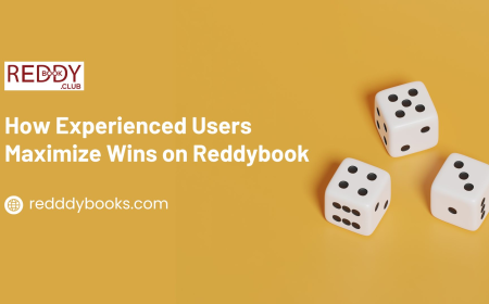 How Experienced Users Maximize Wins on Reddybook