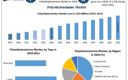 Polyethyleneimine Market Demand Trends and Revenue Forecast 2025-2032