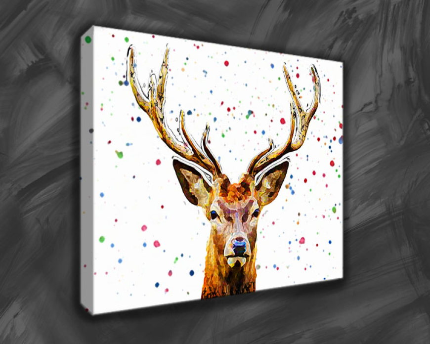 Canvas Prints UK: Transforming Your Favourite Photos into Timeless Wall Art