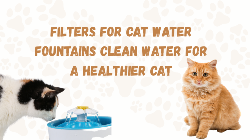 Filters for Cat Water Fountains Clean Water for a Healthier Cat