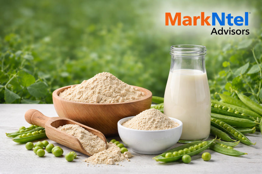 Global Pea Protein Market: Trends Shaping the Future of Plant-Based Nutrition