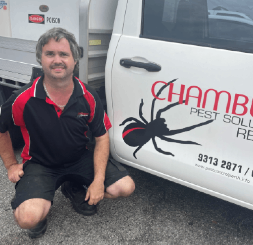 Protect Your Property with Termite Control Perth by Chambers Pest Solutions