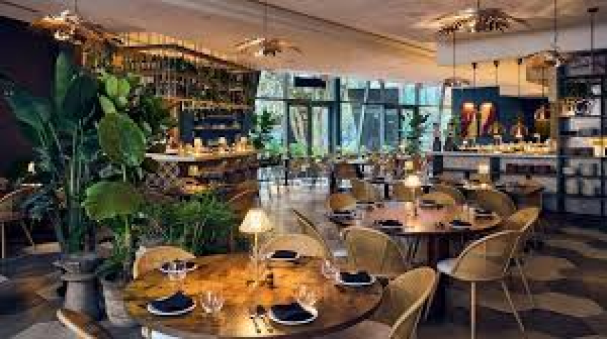 Upscale Dining Near Me: Best Luxury Restaurants in 2026