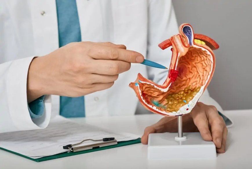 Gastro Doctor Dubai: Common Conditions and Treatments
