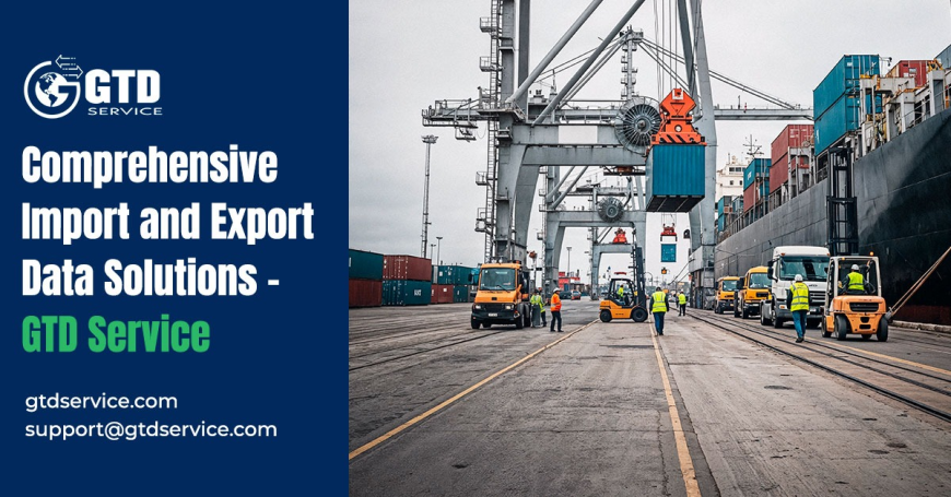 Comprehensive Import and Export Data Solutions – GTD Service