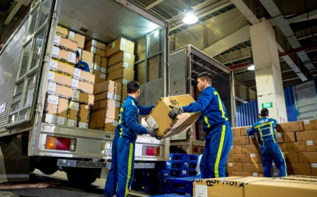 The Ultimate Guide to Hiring Premium Movers in Palm Jumeirah