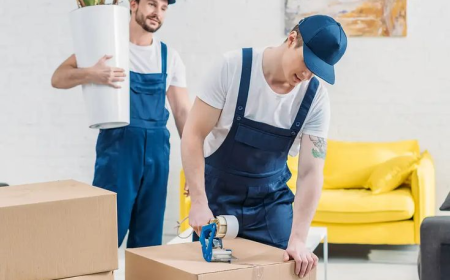 The Ultimate Guide to Furniture Movers and Packers in Dubai​: Stress-Free Relocation with Delight Box Move