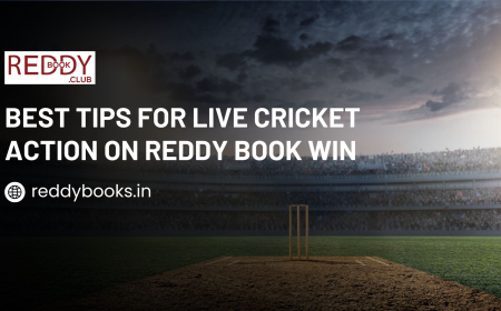 Best Tips for Live Cricket Action on Reddy Book Win