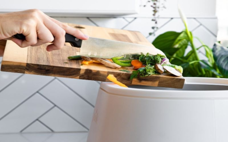 How to Choose The Best Kitchen Compost Bin for Apartments and Tiny Countertops