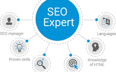 SEO Expert Near Me & SEO Expert in Pakistan Guide
